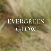 Fishers Friend Kollektion