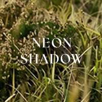 Neon Shadow