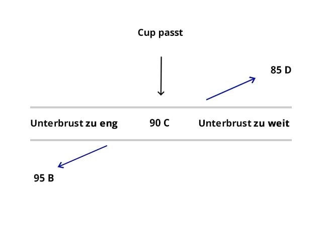 Kreuzgrößen Erklärung