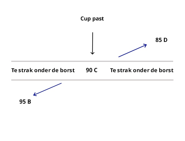 Kreuzgrößen Erklärung